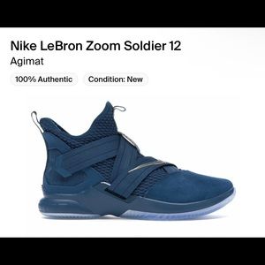 COPY - LEBRON SOLDIER XII SFG
